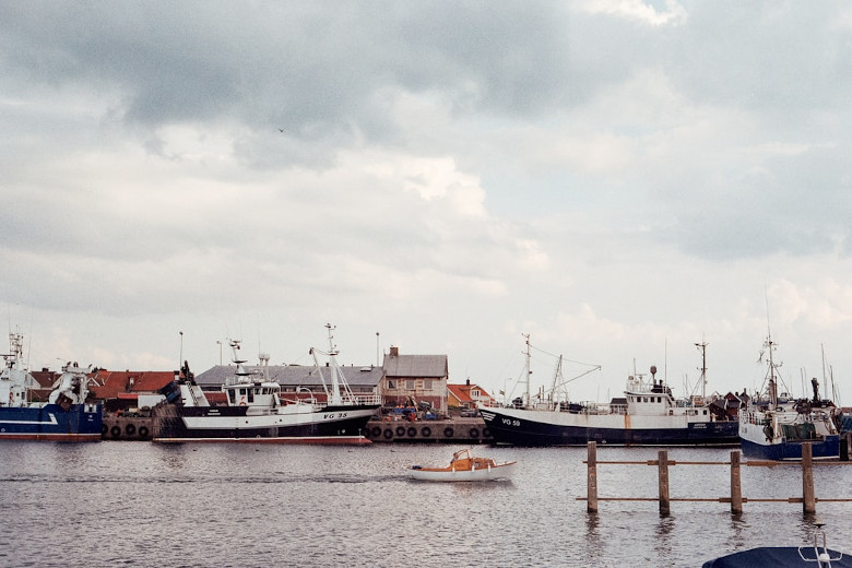 En hamn med flera förtöjda fiskebåtar. Foto.