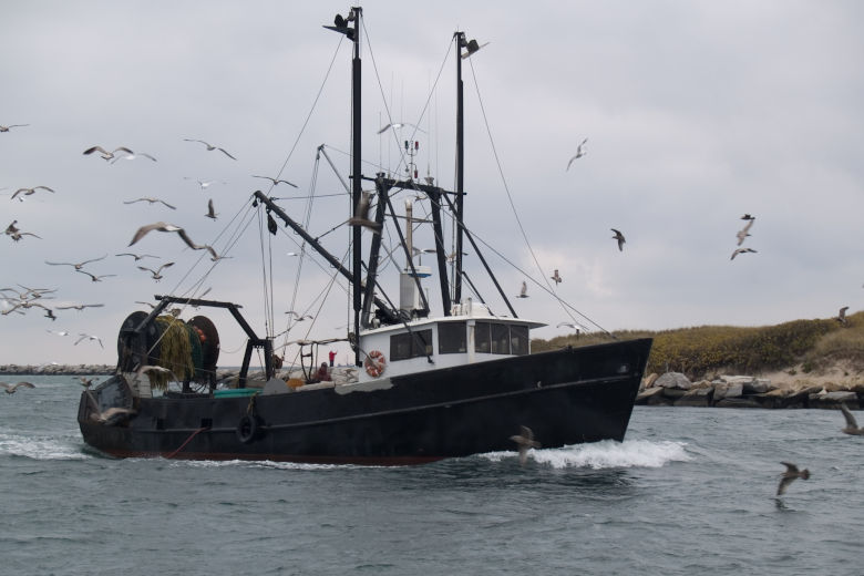 Fiskefartyg med måsar svävande ovanför fartyget. Foto.