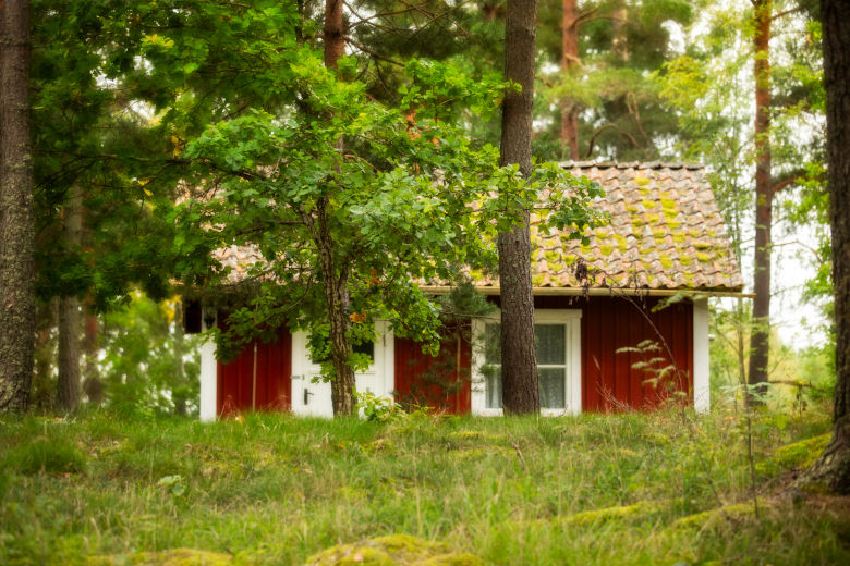 Liten röd stuga i skogen. Foto.