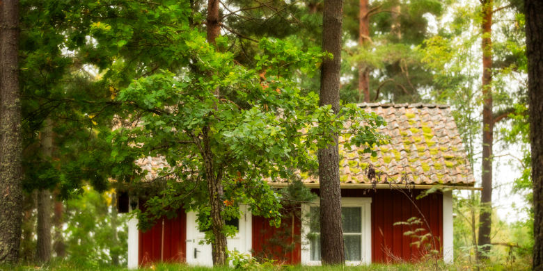 Liten röd stuga i skogen. Foto.