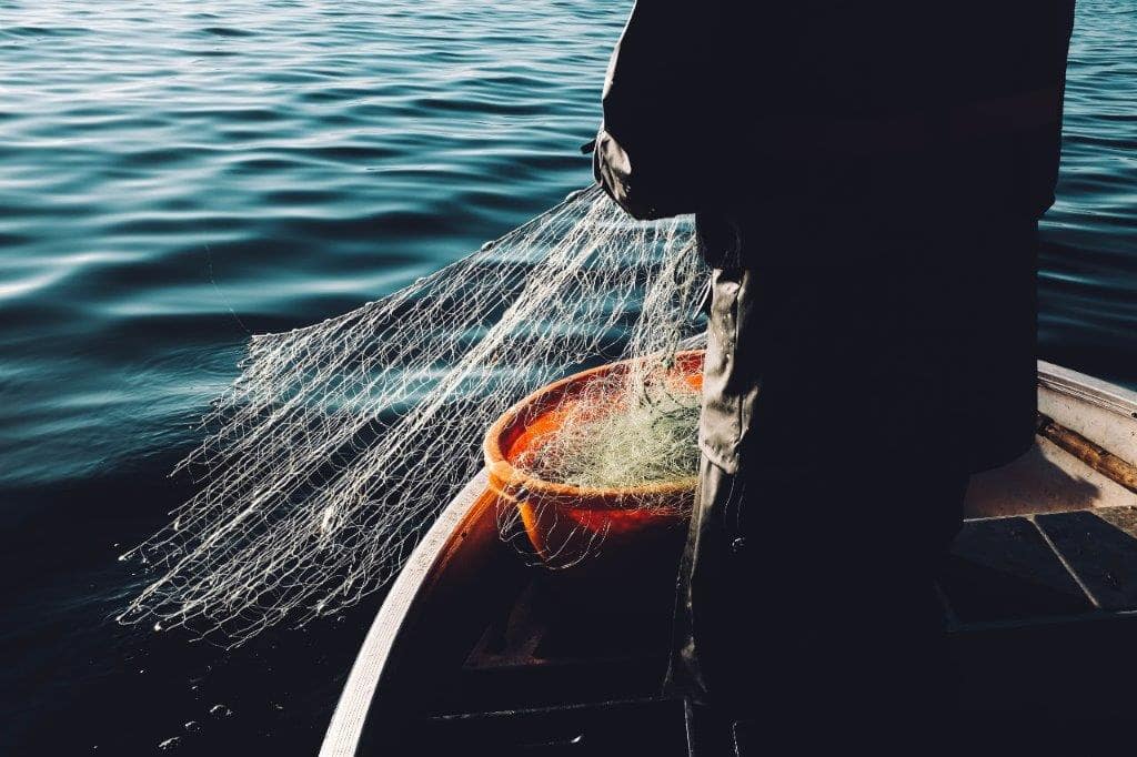 En fiskare samlar in sitt fiskenät. Foto. 